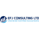 Efj Consulting