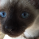 Lillian