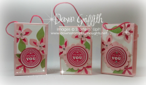 Peek-a-Boo Hand Sanitizer holder video