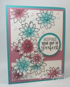 Oh So Succulent Birthday card video .