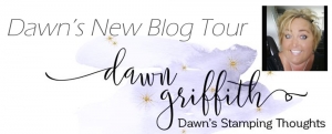 Dawn’s New Blog Tour video