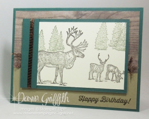 Nature Sings Masculine Birthday card video