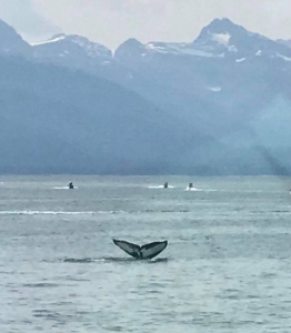 Dawn’s Sunday Share July 29th 2018