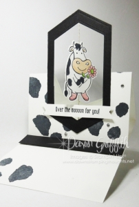 Spinner Easel Card video