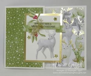 Most Wonderful Time  Gift Card  Holder Video