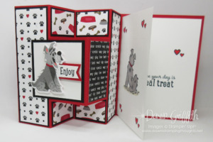 Two for Thursday ~ Pop Out Fun Fold card videos