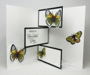Flip Flap Flutter Butterfly Card video