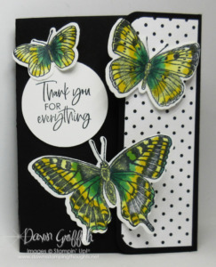 Two for Thursday ~ Slide & Lock Butterfly Card Videos