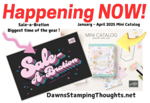 NEW catalogs and more start today.